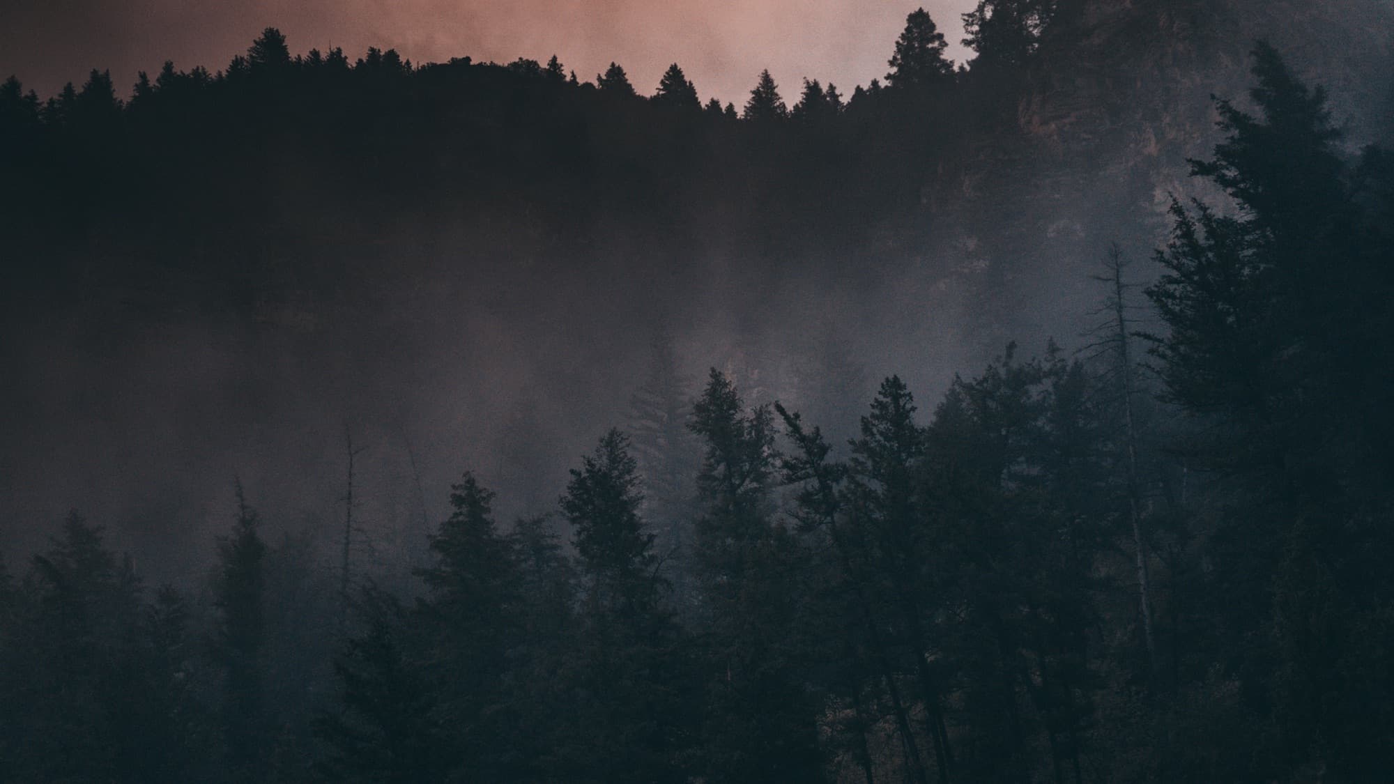 Misty Ridgeline