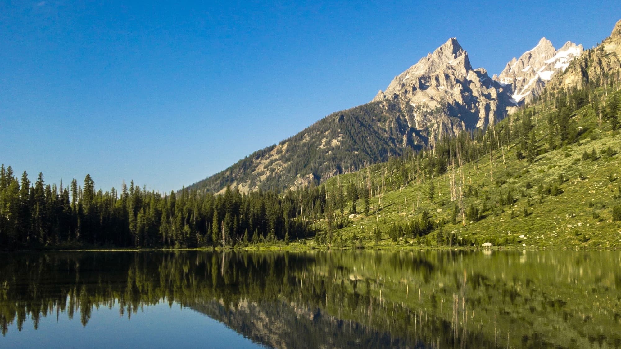 Teton Reflection