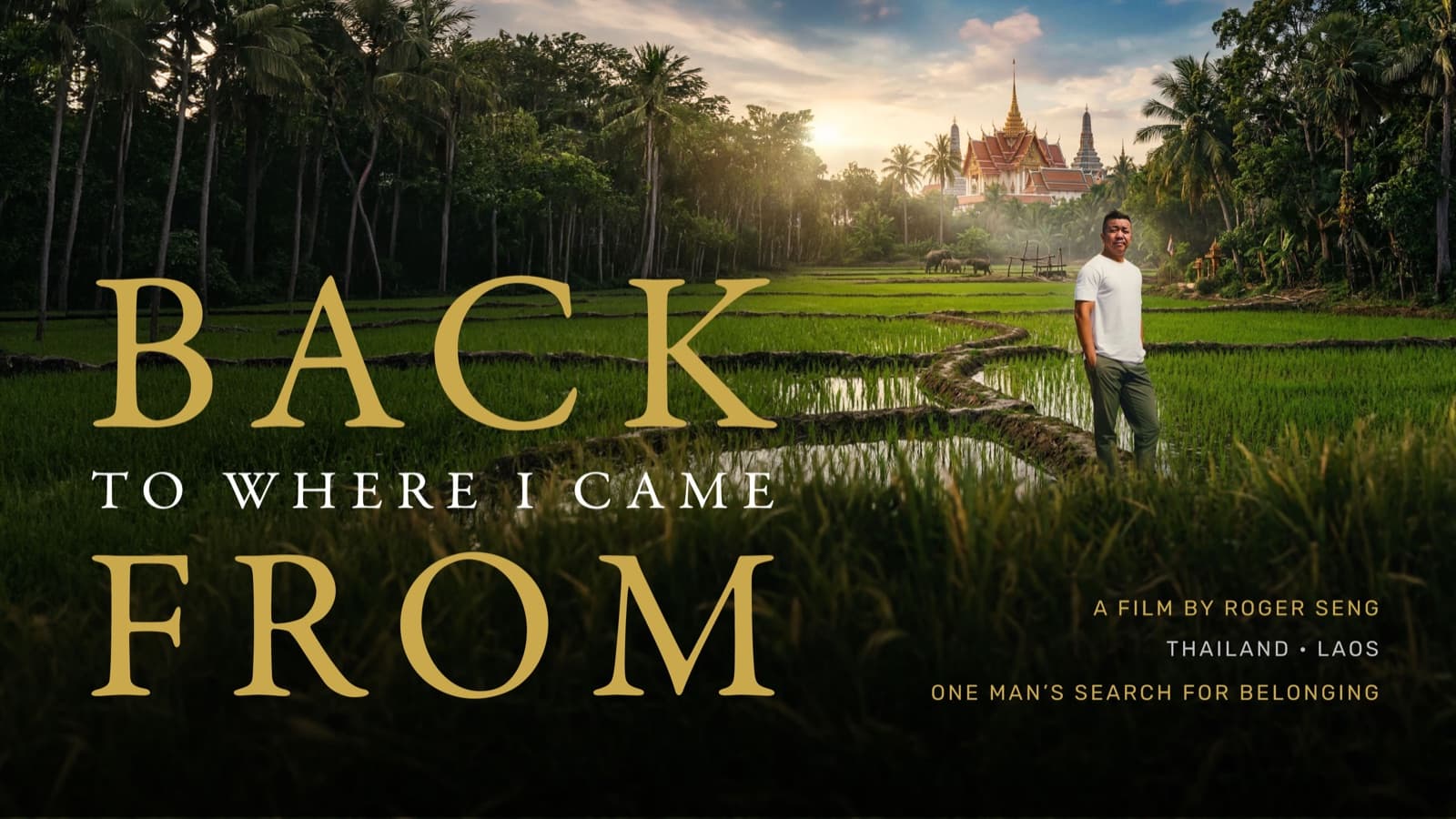 Back to Where I Came From, key art