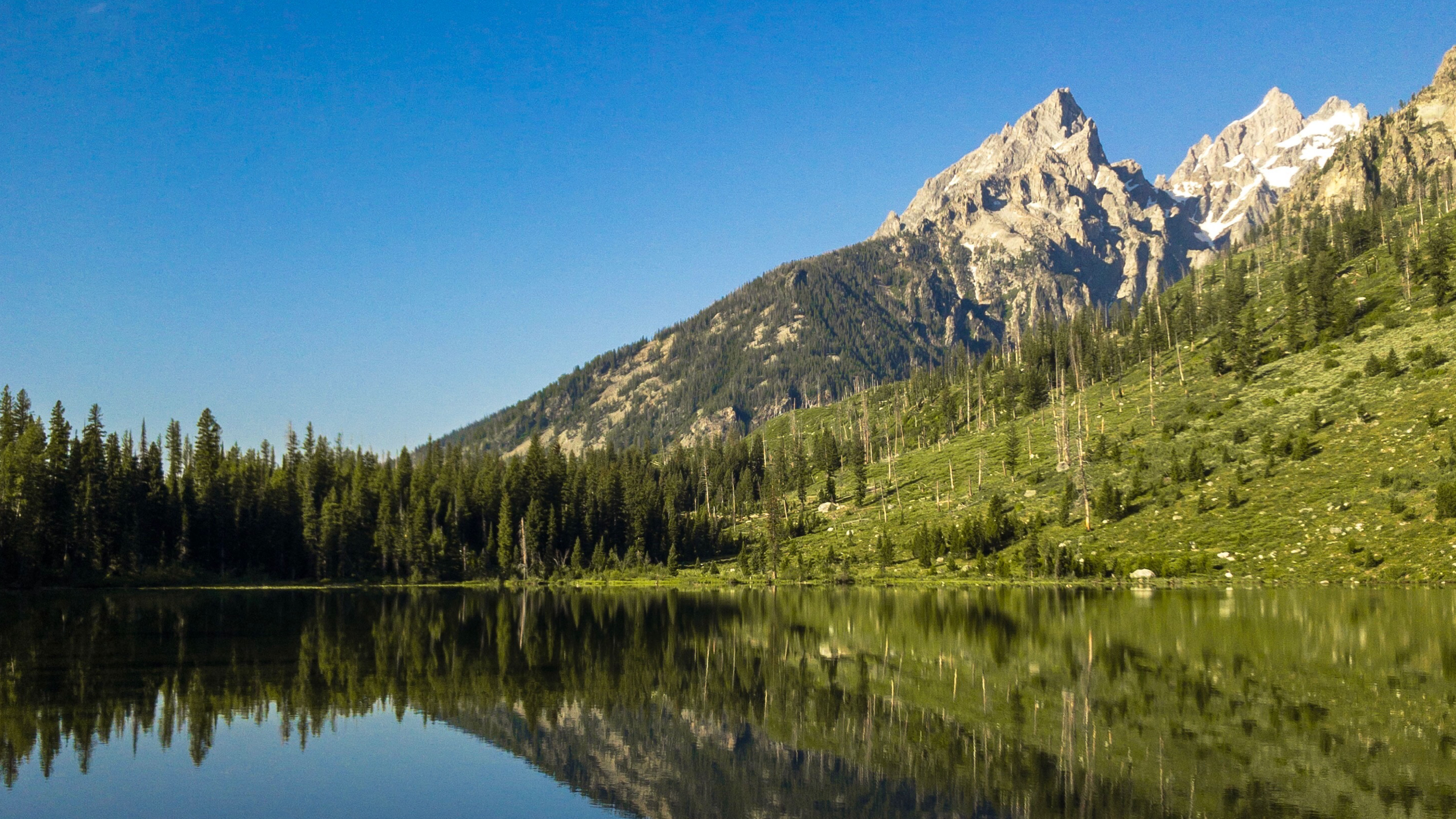 Teton Reflection